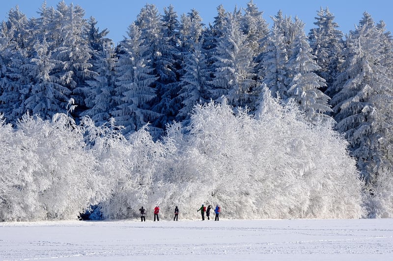 Rustic Lodge in Winter